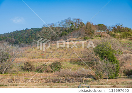 View of the Satoyama from the Ishibutai Tomb Lawn Square, Asuka Village, Nara Prefecture 135697690