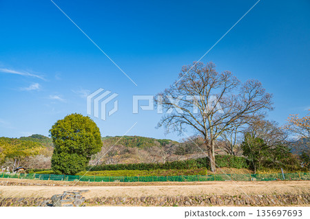 Ishibutai Tomb Lawn Square, Asuka Village, Nara Prefecture 135697693