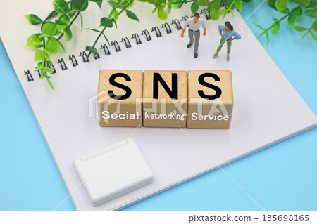 A block labeled SNS A block labeled SNS 135698165