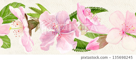 Sakura flowers horizontal seamless border watercolor, pink tones, hand-painted in natural botanical style. Perfect for wedding invitations, spring card, packaging, textile design. Beige textured paper Sakura flowers horizontal seamless border watercolor, pink tones, hand-painted in natural botanical style. Perfect for wedding invitations, spring card, packaging, textile design. Beige textured paper 135698245