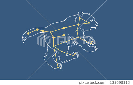 Illustration of Ursa Major floating on a navy background (white bear and gold constellation lines) 135698313