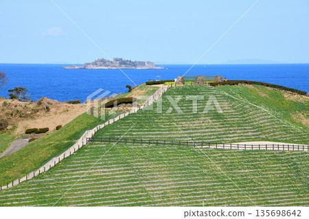 野母崎和軍艦島的水仙花 野母崎和軍艦島的水仙花 135698642