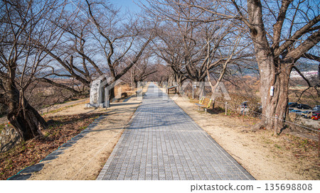 Winter Sewari Embankment, Yawata City, Kyoto Prefecture Winter Sewari Embankment, Yawata City, Kyoto Prefecture 135698808