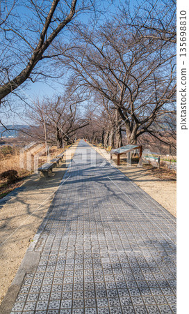 Winter Sewari Embankment, Yawata City, Kyoto Prefecture Winter Sewari Embankment, Yawata City, Kyoto Prefecture 135698810