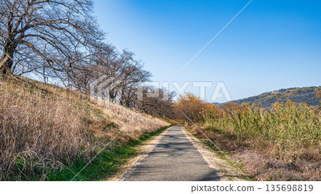 京都府八幡市冬季瀨割裡堤防 135698819