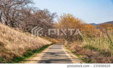 京都府八幡市冬季瀨割裡堤防 135698820
