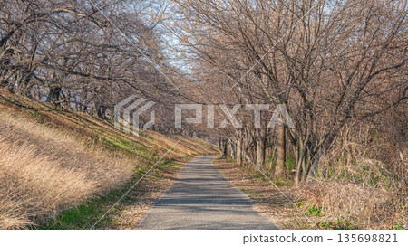 京都府八幡市冬季瀨割裡堤防 135698821