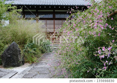 Jorinji Temple and bush clover flowers in Kyoto Jorinji Temple and bush clover flowers in Kyoto 135698830