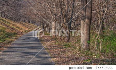 Winter Sewari Embankment, Yawata City, Kyoto Prefecture 135698990
