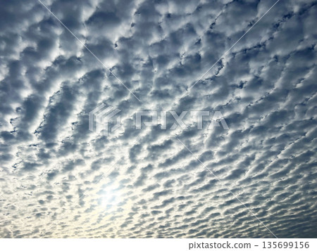 Sky filled with patterned fluffy clouds and sunlight Sky filled with patterned fluffy clouds and sunlight 135699156