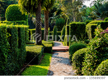 Luxury landscape design of the tropical garden. 135699397