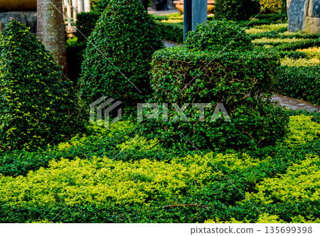 Luxury landscape design of the tropical garden. 135699398