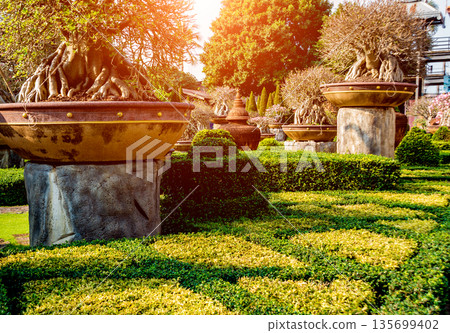 Luxury landscape design of the tropical garden. 135699402