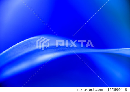 Abstract colored background close up. Macro flowers and petals 135699448