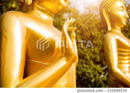 Symbols of Buddhism. Hands of buddist statues. South-Eastern Asia.  135699534