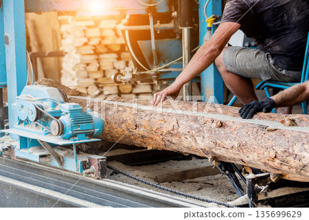 Modern sawmill. Industry sawing boards from logs Modern sawmill. Industry sawing boards from logs 135699629