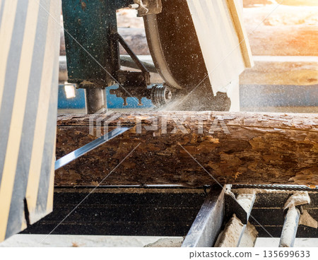 Modern sawmill. Industry sawing boards from logs Modern sawmill. Industry sawing boards from logs 135699633