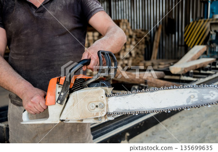 Woodcutter cutting tree with chainsaw on sawmill. Modern sawmill. 135699635
