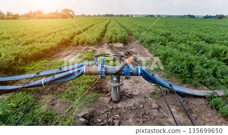 Drip irrigation system. Water saving drip irrigation system Drip irrigation system. Water saving drip irrigation system 135699650