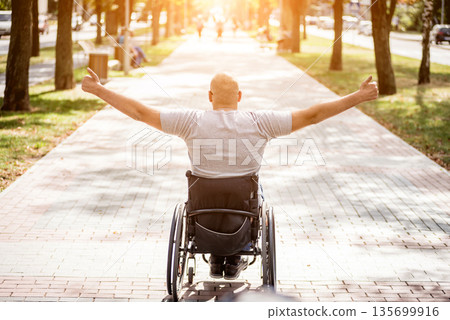 Handicapped man in wheelchair walk at the park alley 135699916
