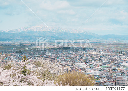 Tendo city with Sakura Cherry Blossom and snow mountain in Spring season, view from Tendo Park or Maizuru Park. Yamagata prefecture, Tohoku, Japan, 21 April 2025 135701177