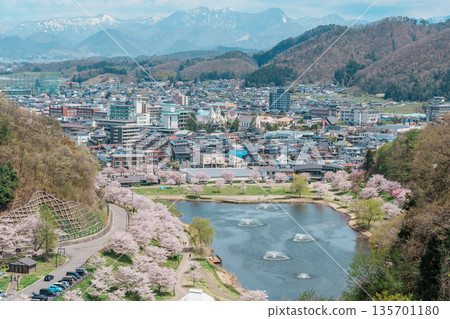 Tendo Park or Maizuru Park with Sakura Cherry Blossom in Spring season. Yamagata prefecture, Tohoku, Japan, 21 April 2025 Tendo Park or Maizuru Park with Sakura Cherry Blossom in Spring season. Yamagata prefecture, Tohoku, Japan, 21 April 2025 135701180