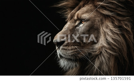Majestic Lion Profile with Detailed Mane and Cinematic Lighting 135701591