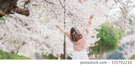 Woman tourist sightseeing Kajo Park Yamagata Castle Ruins with Sakura Cherry Blossom in Spring, happy traveler travel in Yamagata prefecture, Tohoku, Japan. famous Landmark for Travel and Vacation 135702216