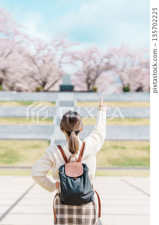 Woman tourist sightseeing Tendo Park or Maizuru Park with Sakura Cherry Blossom in Spring, happy traveler travel in Yamagata prefecture, Tohoku, Japan. famous Landmark for Travel and Vacation Woman tourist sightseeing Tendo Park or Maizuru Park with Sakura Cherry Blossom in Spring, happy traveler travel in Yamagata prefecture, Tohoku, Japan. famous Landmark for Travel and Vacation 135702225