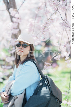 Woman tourist sightseeing Kitakami Tenshochi Park with Sakura Cherry Blossom in Spring, traveler travel in Kitakami festival, Iwate prefecture, Japan. Landmark for Travel and Vacation destination 135702253