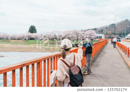 Woman tourist sightseeing Sakura Cherry Blossom in Spring. Happy traveler travel near Hinokinai River riverbank in Kakunodate town, Semboku District, Akita Prefecture, Japan. Landmark and Vacation 135702274