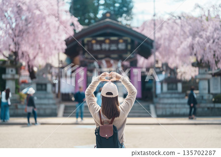 Woman tourist sightseeing Sakurayama Shrine with Cherry blossom in Spring season, happy traveler travel in Morioka city, Iwate prefecture, Japan. famous Landmark Travel and Vacation destination Woman tourist sightseeing Sakurayama Shrine with Cherry blossom in Spring season, happy traveler travel in Morioka city, Iwate prefecture, Japan. famous Landmark Travel and Vacation destination 135702287