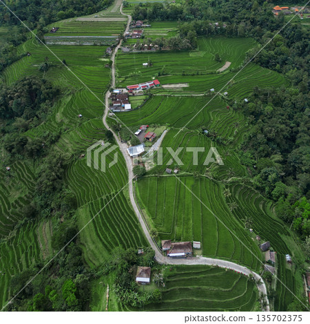 Scenic Rural Landscape, Peaceful Countryside Showing Vibrant Waterlogged Fields Scenic Rural Landscape, Peaceful Countryside Showing Vibrant Waterlogged Fields 135702375
