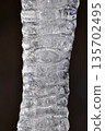 Icicle 135702495
