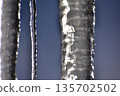 Icicle 135702502