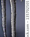 Icicle 135702505
