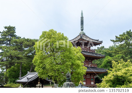 加古川覺林寺 加古川覺林寺 135702519