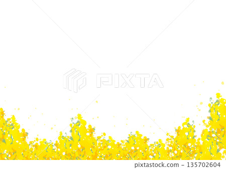 水彩風格油菜花框 水彩風格油菜花框 135702604