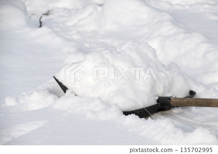 Shovel full of snow, ready to clear winter drifts and pathways Shovel full of snow, ready to clear winter drifts and pathways 135702995