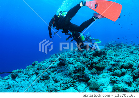 潛水員手持水流鉤,帛琉海域,潛水場景 潛水員手持水流鉤,帛琉海域,潛水場景 135703163