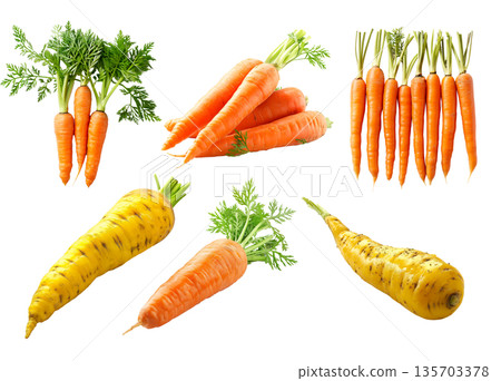 Set of Imperator carrot and Parsnip root with green leaves isolated on a white background Set of Imperator carrot and Parsnip root with green leaves isolated on a white background 135703378