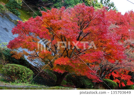 Lord of the Burning Slope Lord of the Burning Slope 135703649