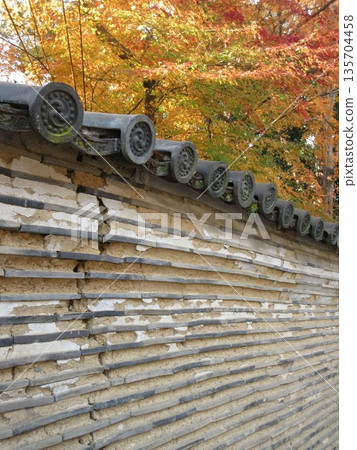 Nobunaga Wall and autumn leaves at Iwashimizu Hachimangu Shrine Nobunaga Wall and autumn leaves at Iwashimizu Hachimangu Shrine 135704458