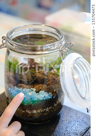 A bottle like an aquarium that can be decorated with fish, aquatic plants, and pebbles A bottle like an aquarium that can be decorated with fish, aquatic plants, and pebbles 135704473