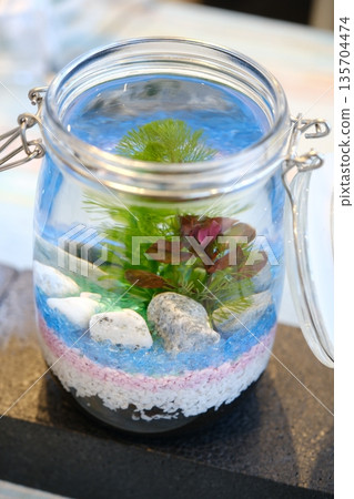一個類似水族箱的瓶子，可以用來裝飾魚、水生植物和鵝卵石。 135704474