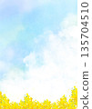 春日背景，水彩風格的天空和油菜花田 | 天空、油菜、春天、花田 135704510