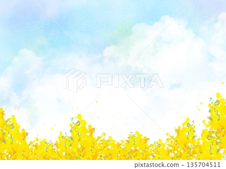 春日背景,水彩風格的天空和油菜花田 | 天空、油菜、春天、花田 春日背景,水彩風格的天空和油菜花田 | 天空、油菜、春天、花田 135704511