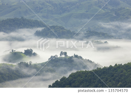 Landscape of Morning Mist with Mountain Layer. mountain ridge and clouds in rural jungle bush forest Landscape of Morning Mist with Mountain Layer. mountain ridge and clouds in rural jungle bush forest 135704570