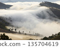 Landscape of Morning Mist with Mountain Layer. mountain ridge and clouds in rural jungle bush forest 135704619