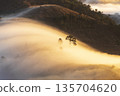 Landscape of Morning Mist with Mountain Layer. mountain ridge and clouds in rural jungle bush forest 135704620